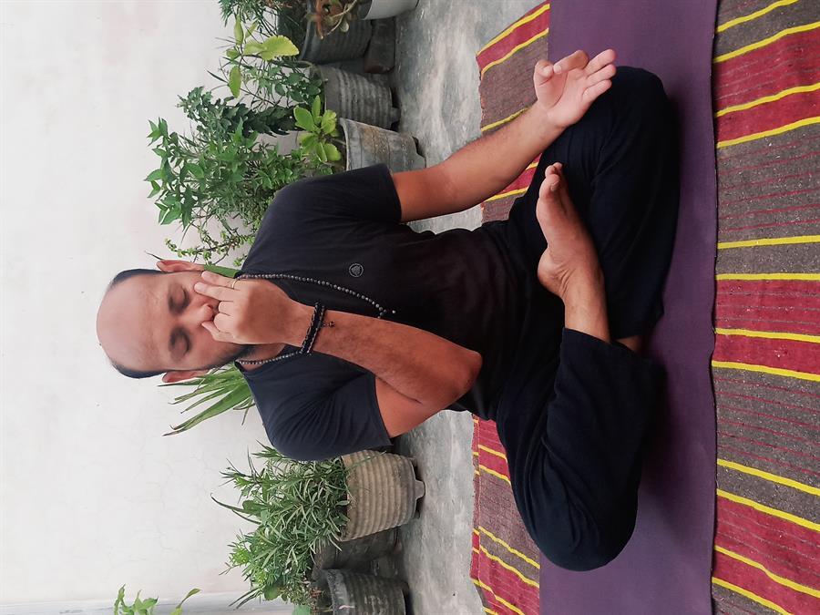 Pranayama Classes and Course - Online