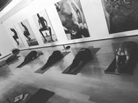 Art Gallery Yoga