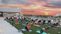 Rooftop Yoga & Live Music Events