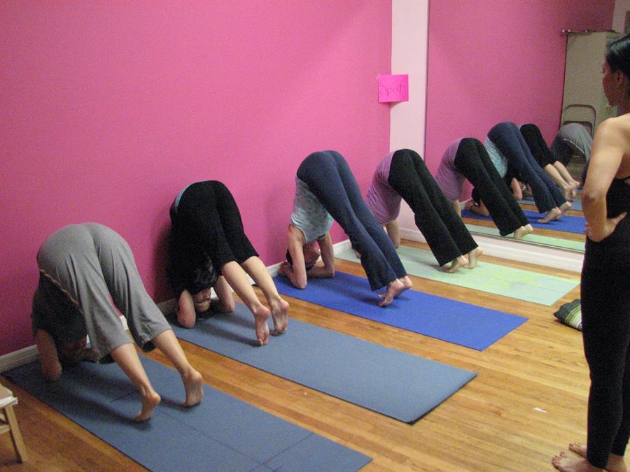 Alignment Yoga Teacher Training 2009