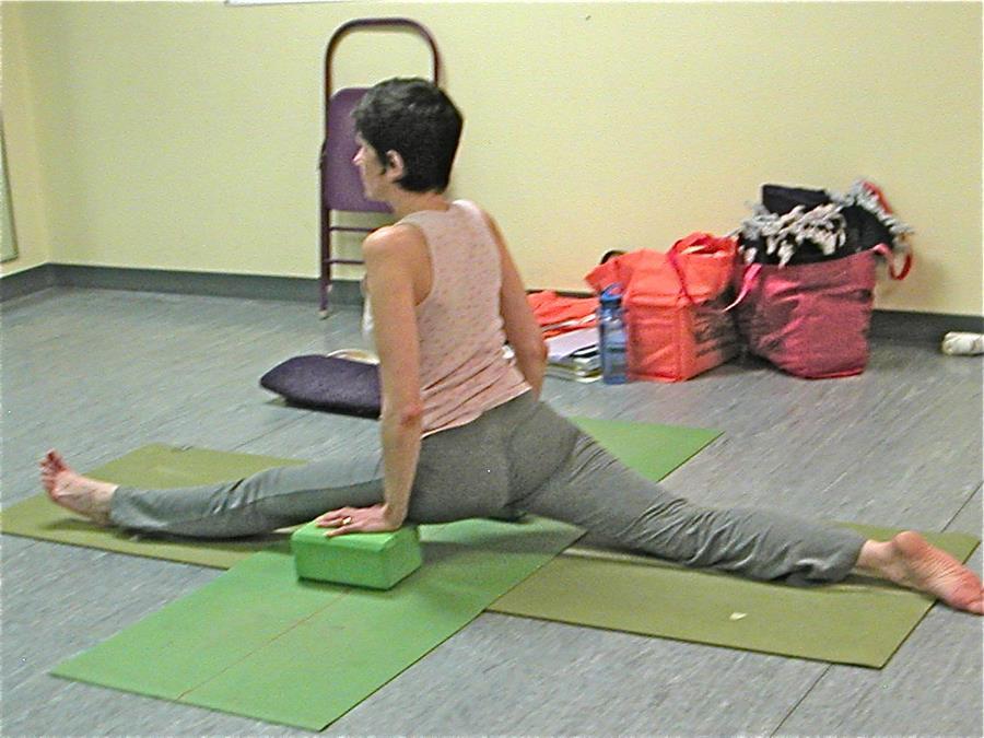 Alignment Yoga Teacher Training 2009