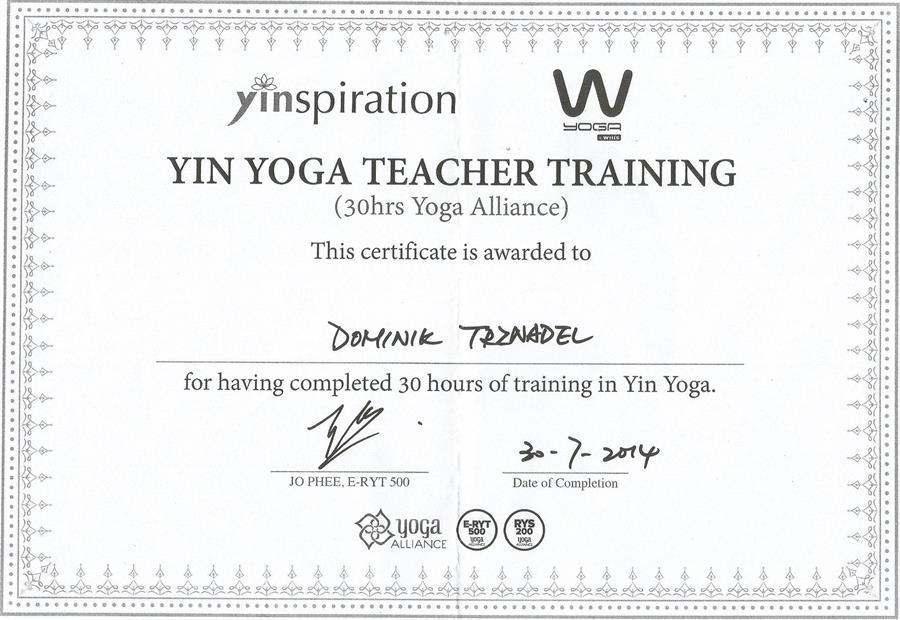 2014 Yin Yoga Shanghai