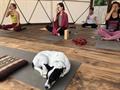 yoga retreat 10