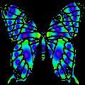 butterflylogo