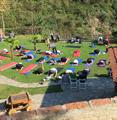 Outdoor Yoga with students