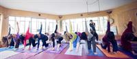 Yoga teacher course in Klil - north of Israel