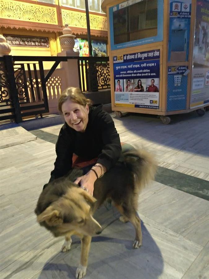 Early morning meditation and dog love in Rishikesh