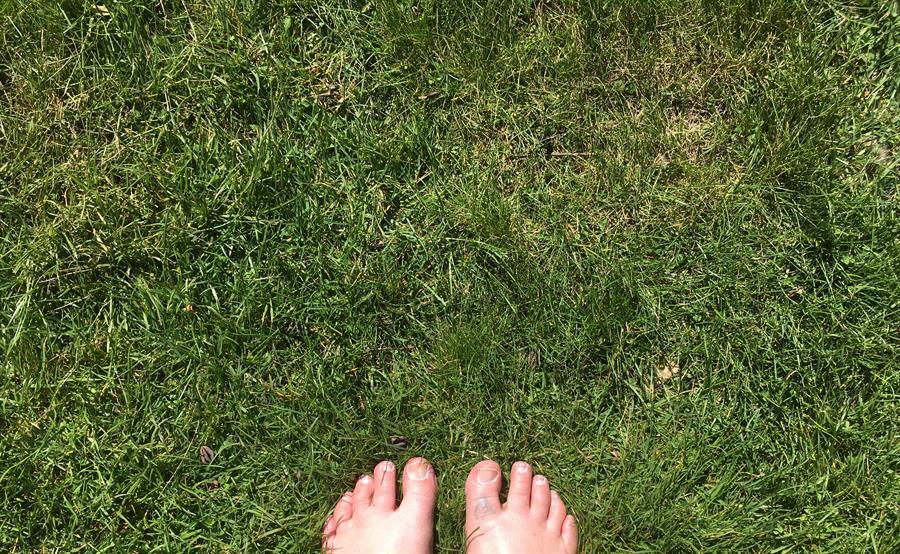 Feet in grass YA