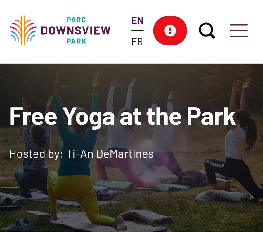 Free Yoga at the Park
