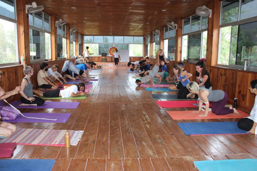Yoga session at Rishikul yogshala
