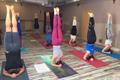 yoga-teachers-trening-2017-23