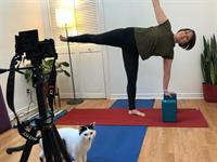 Online Yoga Classes for Everyone