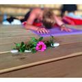 Yoga Retreat / Datça 2015