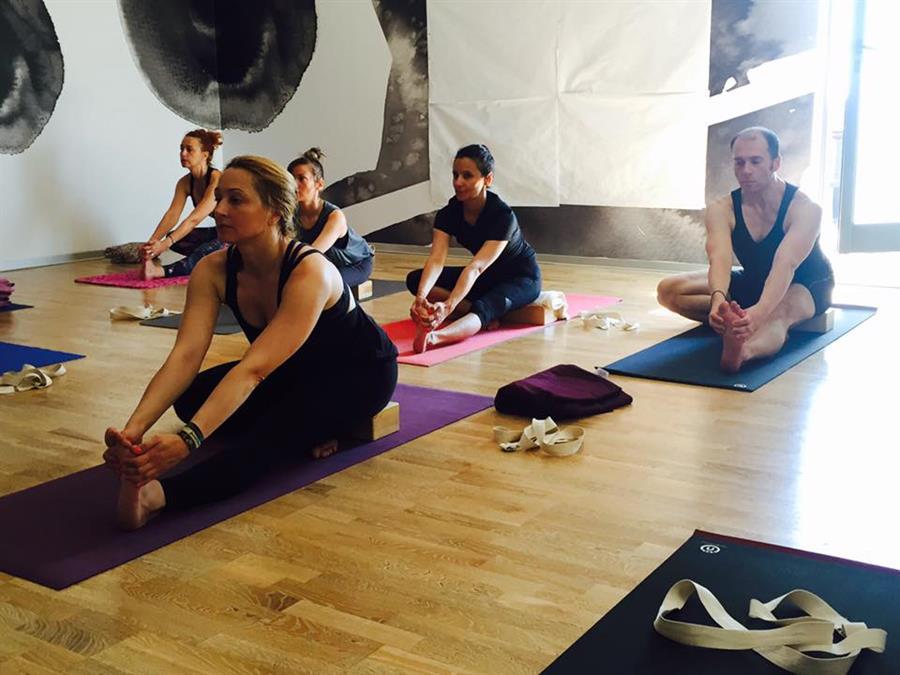 Iyengar Yoga Workshop II - Bucharest, 2016