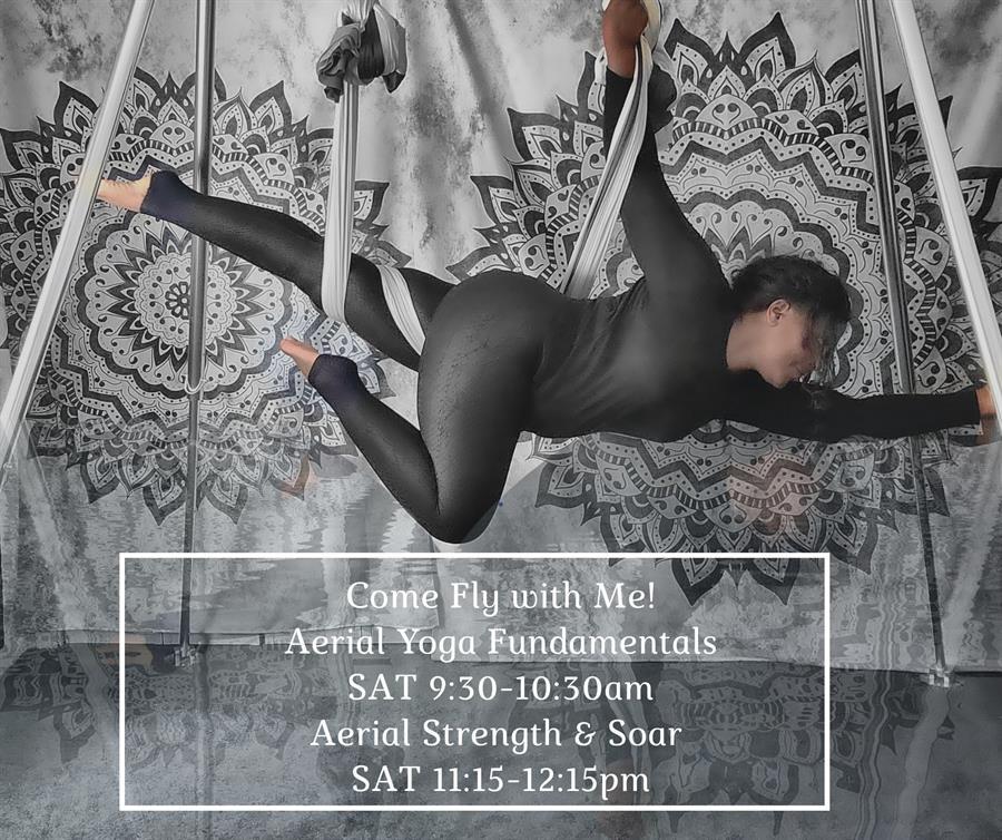 Join Char Willingham for Aerial Yoga: Int-Advanced