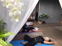 Ann Yoga Studio Ourdoor Venue