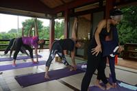 Ashtanga Yoga Class at a Japanese Garden