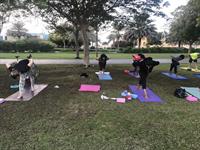 Yoga Classes at the park
