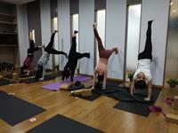 Hatha Yoga Teachers Training
