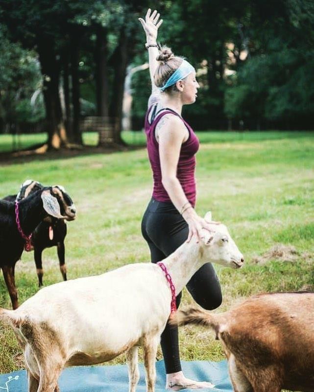 Goat Yoga at Split Creek Farm