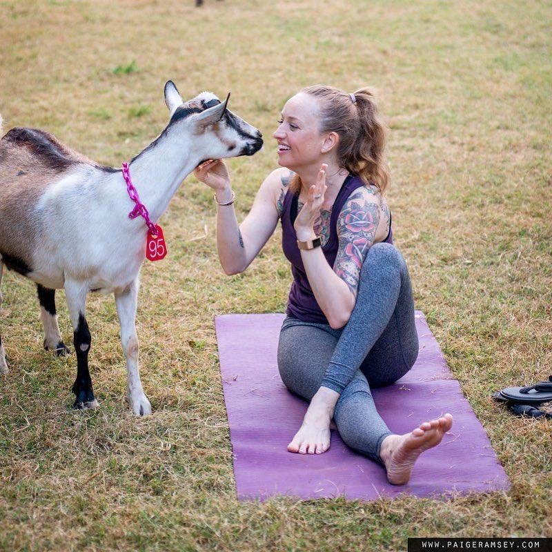 Goat Yoga at Split Creek Farm
