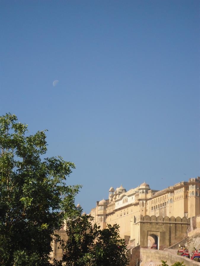 Jaipur, Amber Palace, India 2013