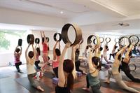 2022 March Yoga Wheel Teacher Training
