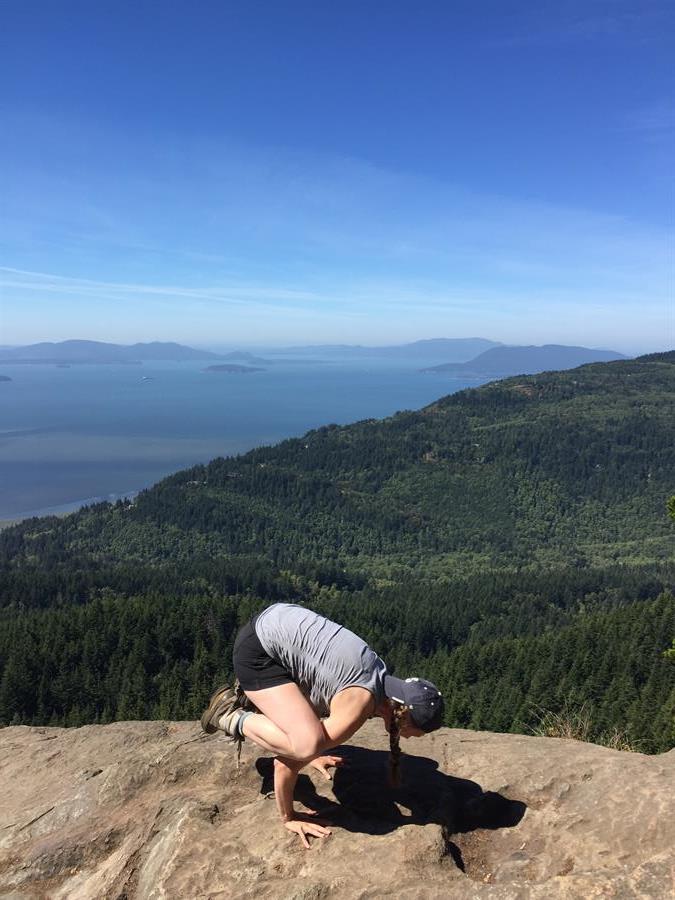Oyster Dome