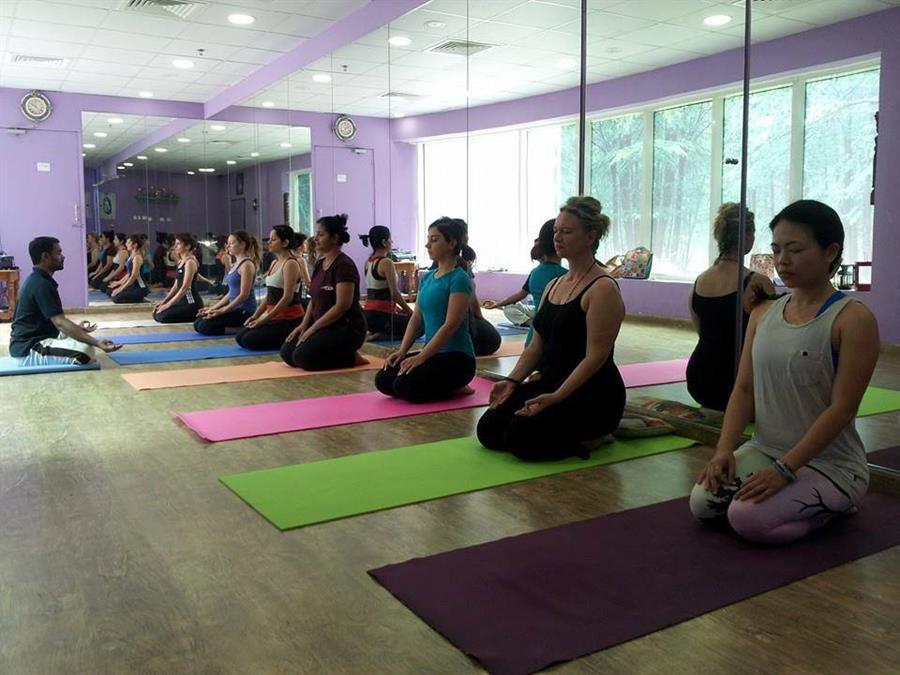 Global Yoga Training by Yogadarshanam Mysore,