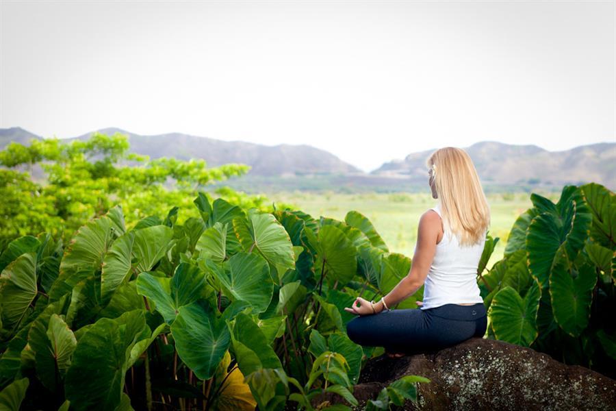 Meditation Retreat in Hawaii