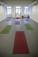 Wiener Yogaschule - Salzburg