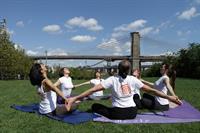 Qi Yo Yoga Community