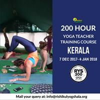 Yoga Teacher Training in Kerala-Rishikul Yogshala