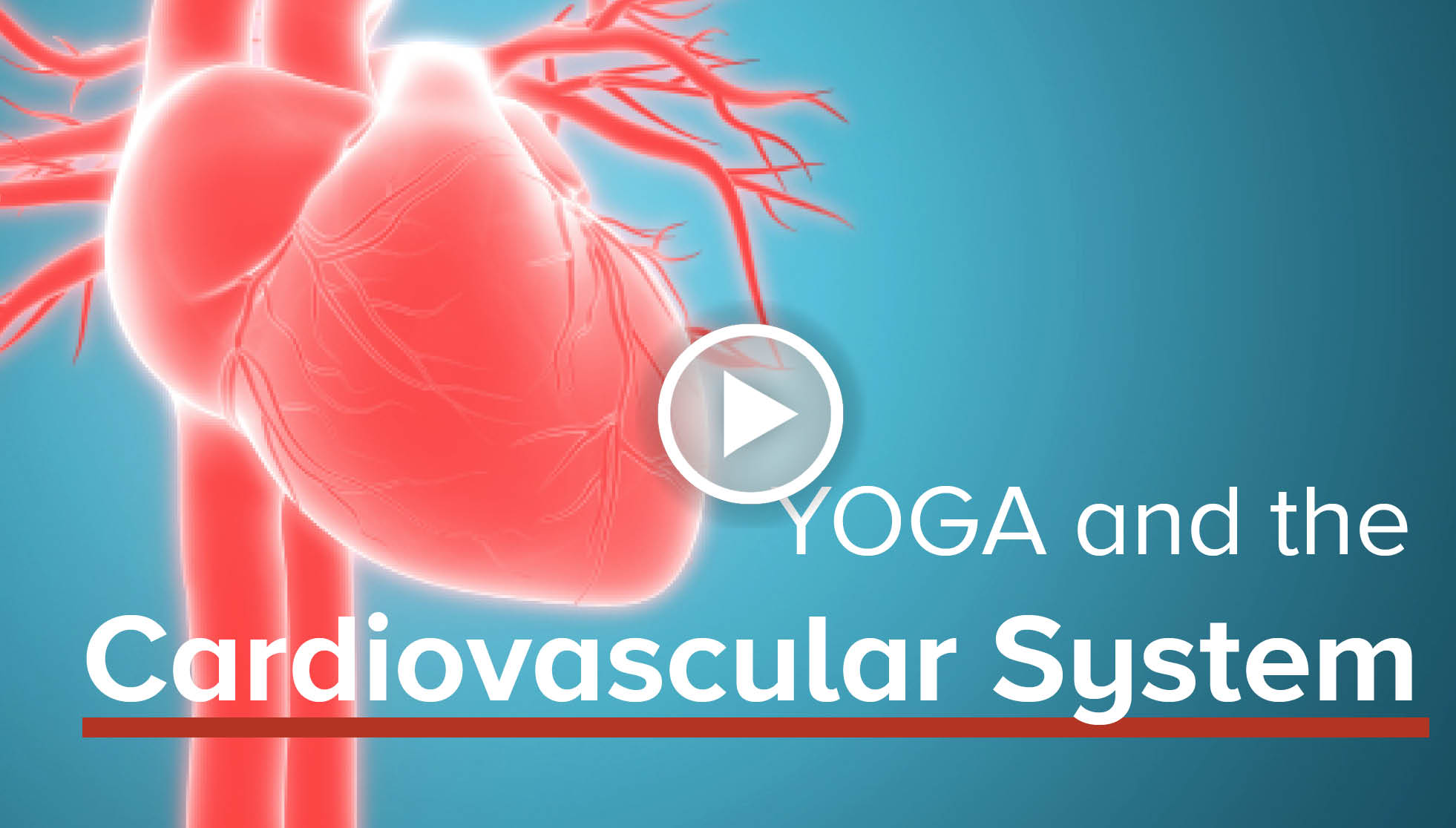 Yoga and the Cardiovascular System