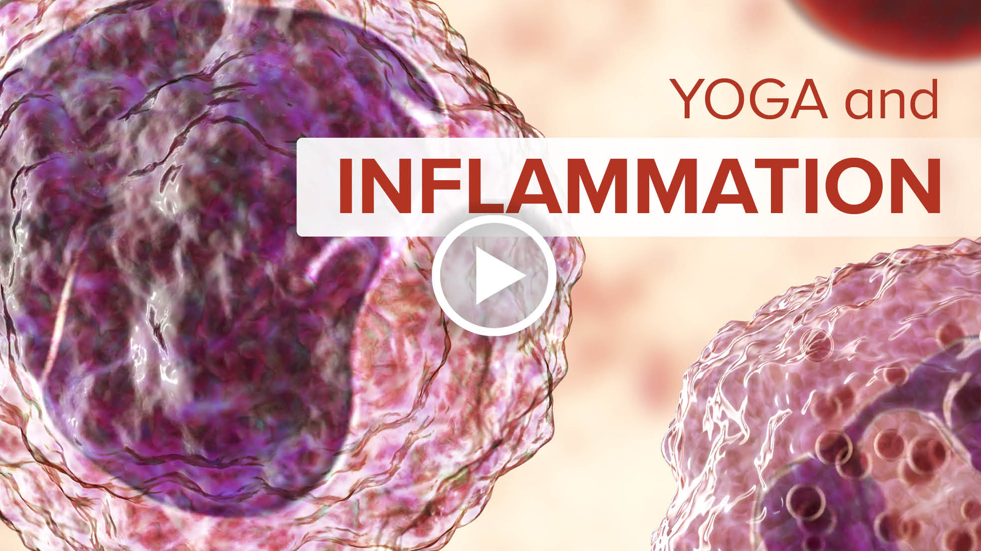 Yoga and Inflammation